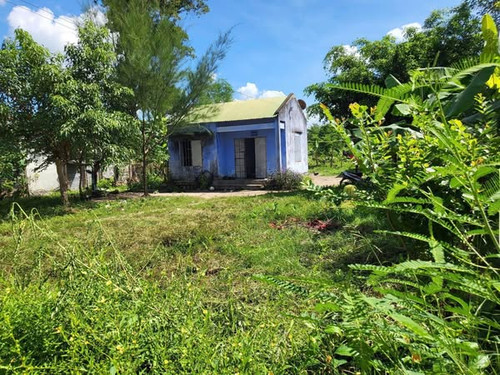 487498851 1937849920081308 8840559262862273328 n.jpg