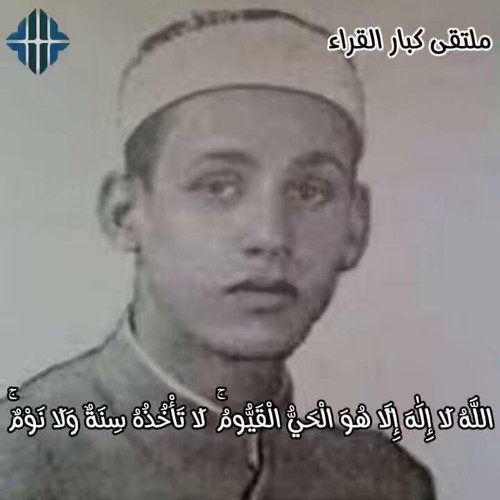 Rxc4s 28SuLKGL i.jpg