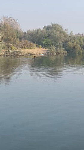 IxI8Km fmUMs0Gvq.jpg