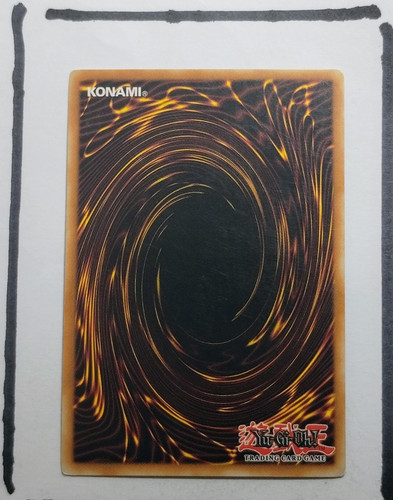 IMG 20250326 195303244.jpg