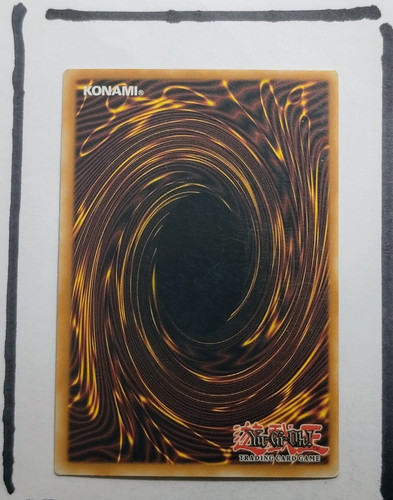 IMG 20250326 195351048.jpg