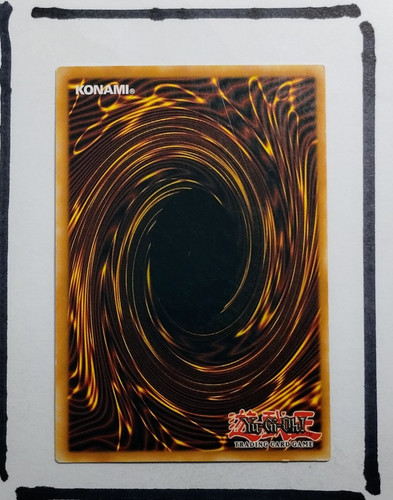 IMG 20250327 123501716.jpg