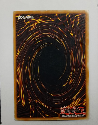 IMG 20250327 123323696.jpg