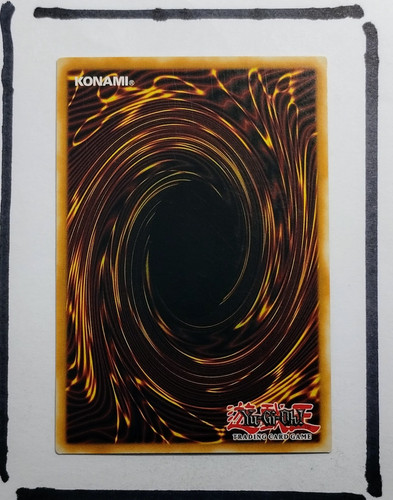 IMG 20250327 123601431.jpg