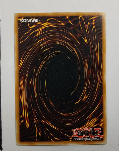 IMG 20250327 123355531.jpg