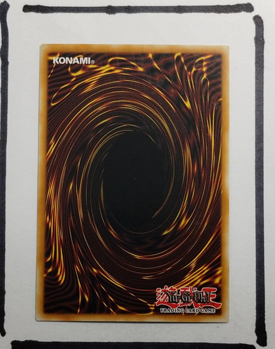 IMG 20250327 123631669.jpg