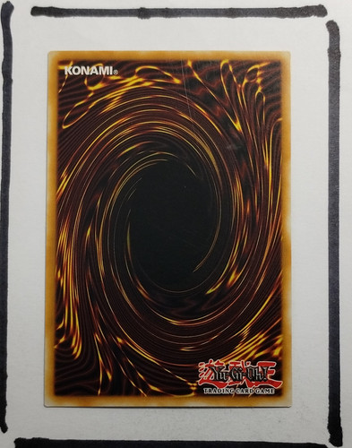 IMG 20250327 123728127.jpg