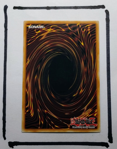 IMG 20250327 124541695.jpg