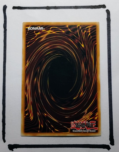 IMG 20250327 124747964.jpg