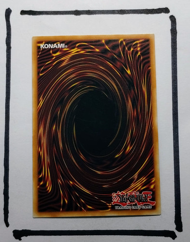 IMG 20250327 124635562.jpg