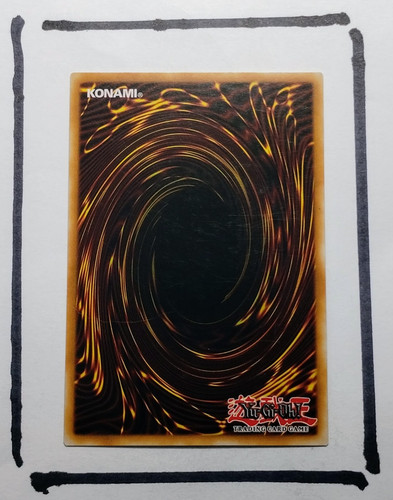 IMG 20250327 124300680.jpg