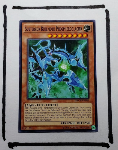 IMG 20250327 124803263.jpg