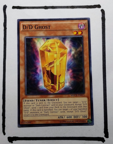 IMG 20250327 124652313.jpg