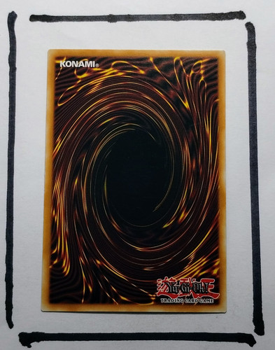 IMG 20250327 124725046.jpg