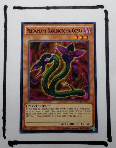 IMG 20250327 124552546.jpg