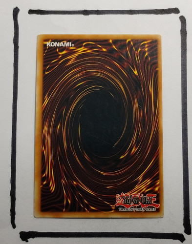 IMG 20250327 124115381.jpg