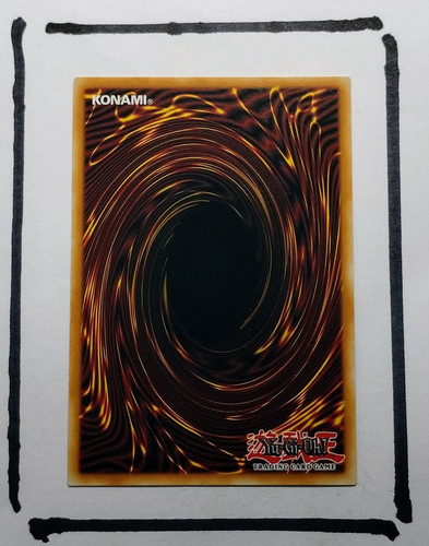 IMG 20250327 124833265.jpg