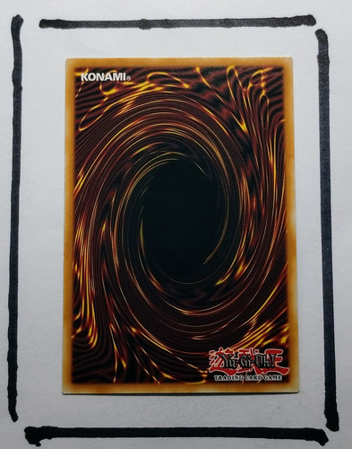 IMG 20250327 124603447.jpg