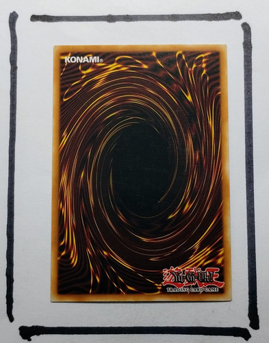 IMG 20250327 124506349.jpg