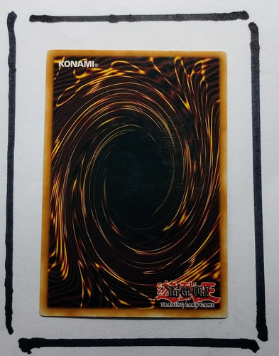 IMG 20250327 125100428.jpg