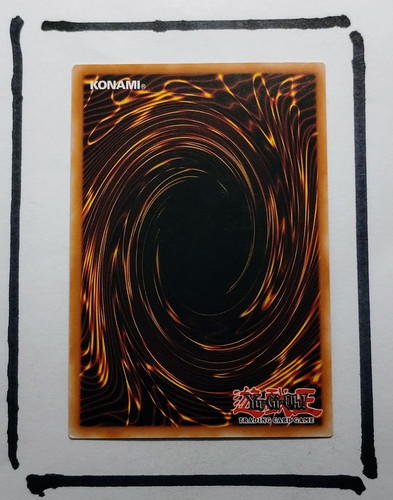 IMG 20250327 124951365.jpg