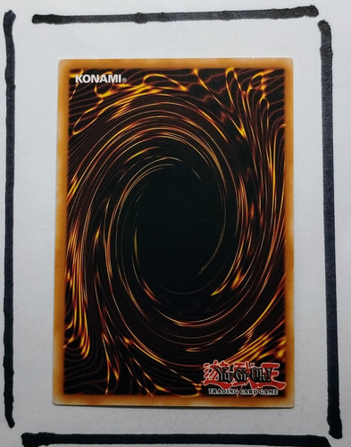 IMG 20250327 125426113.jpg