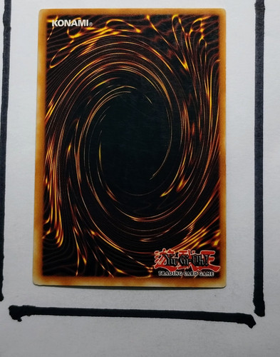 IMG 20250327 125622563.jpg