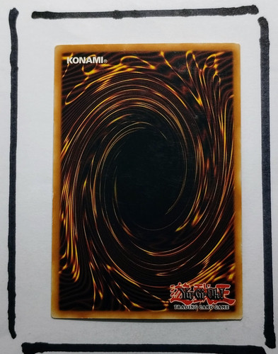 IMG 20250327 125559312.jpg