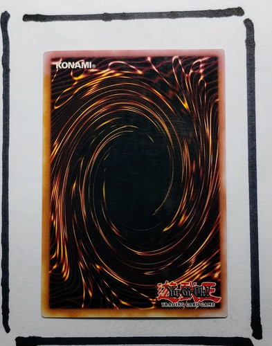 IMG 20250327 125712179.jpg