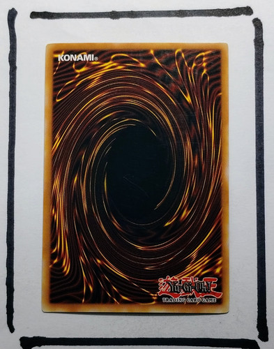 IMG 20250327 125954898.jpg