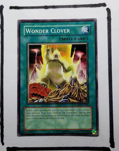 IMG 20250327 125857880.jpg