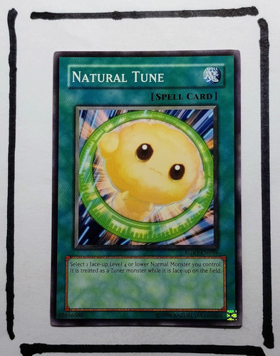 IMG 20250327 125945813.jpg