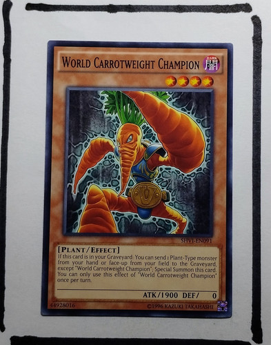 IMG 20250327 195838825.jpg