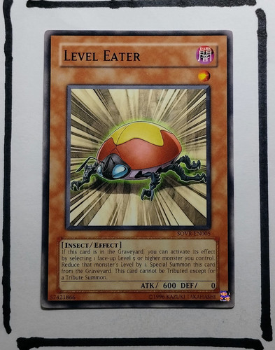 IMG 20250327 200252689.jpg