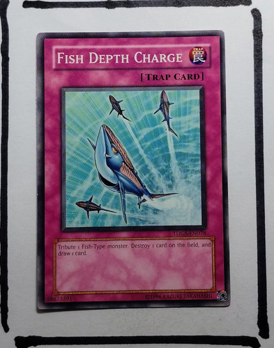 IMG 20250327 201458725.jpg