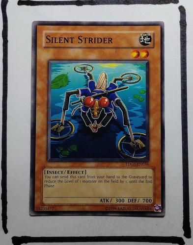 IMG 20250327 201015872.jpg