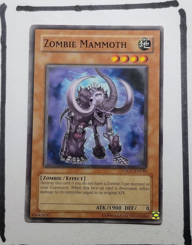 IMG 20250326 193559444.jpg