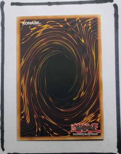 IMG 20250326 193720598.jpg