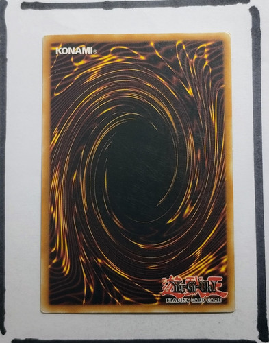 IMG 20250326 194240253.jpg