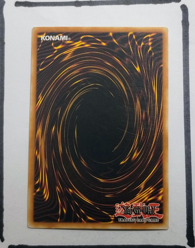 IMG 20250326 194321044.jpg