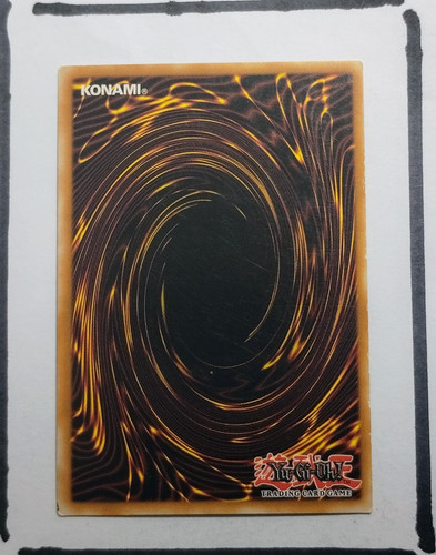 IMG 20250326 194339192.jpg