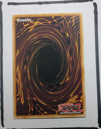 IMG 20250326 193742230.jpg