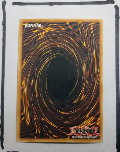 IMG 20250326 194453528.jpg