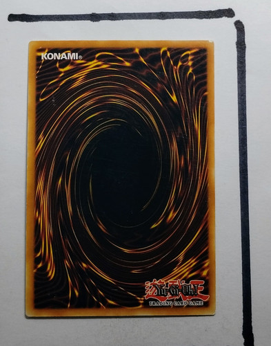 IMG 20250327 202520390.jpg