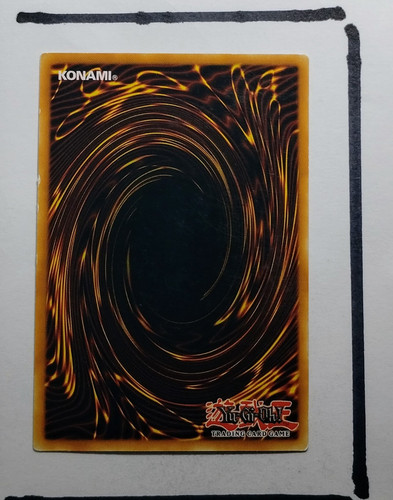 IMG 20250327 202419556.jpg