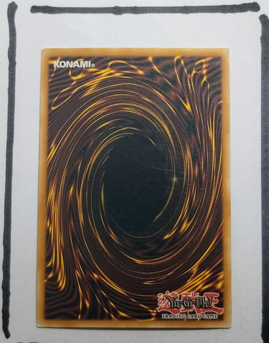 IMG 20250326 194655975.jpg