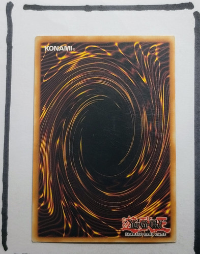 IMG 20250326 194933829.jpg