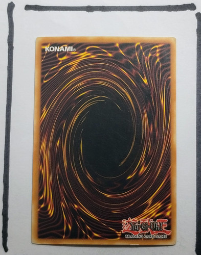 IMG 20250326 195141475.jpg