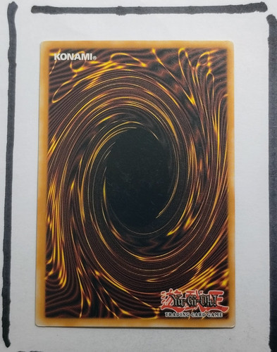 IMG 20250326 194715328.jpg