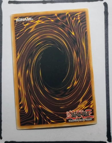 IMG 20250326 194633891.jpg